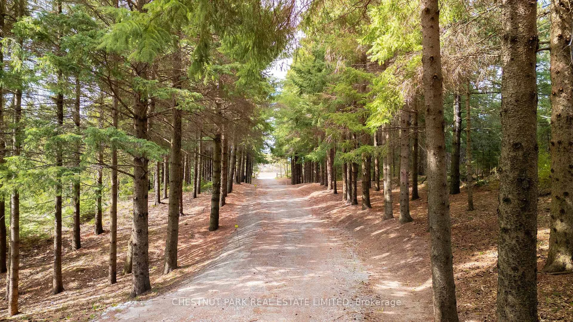 Photo 58 of 286364 10th Side Road, Mono, Rural Mono — HOMEH