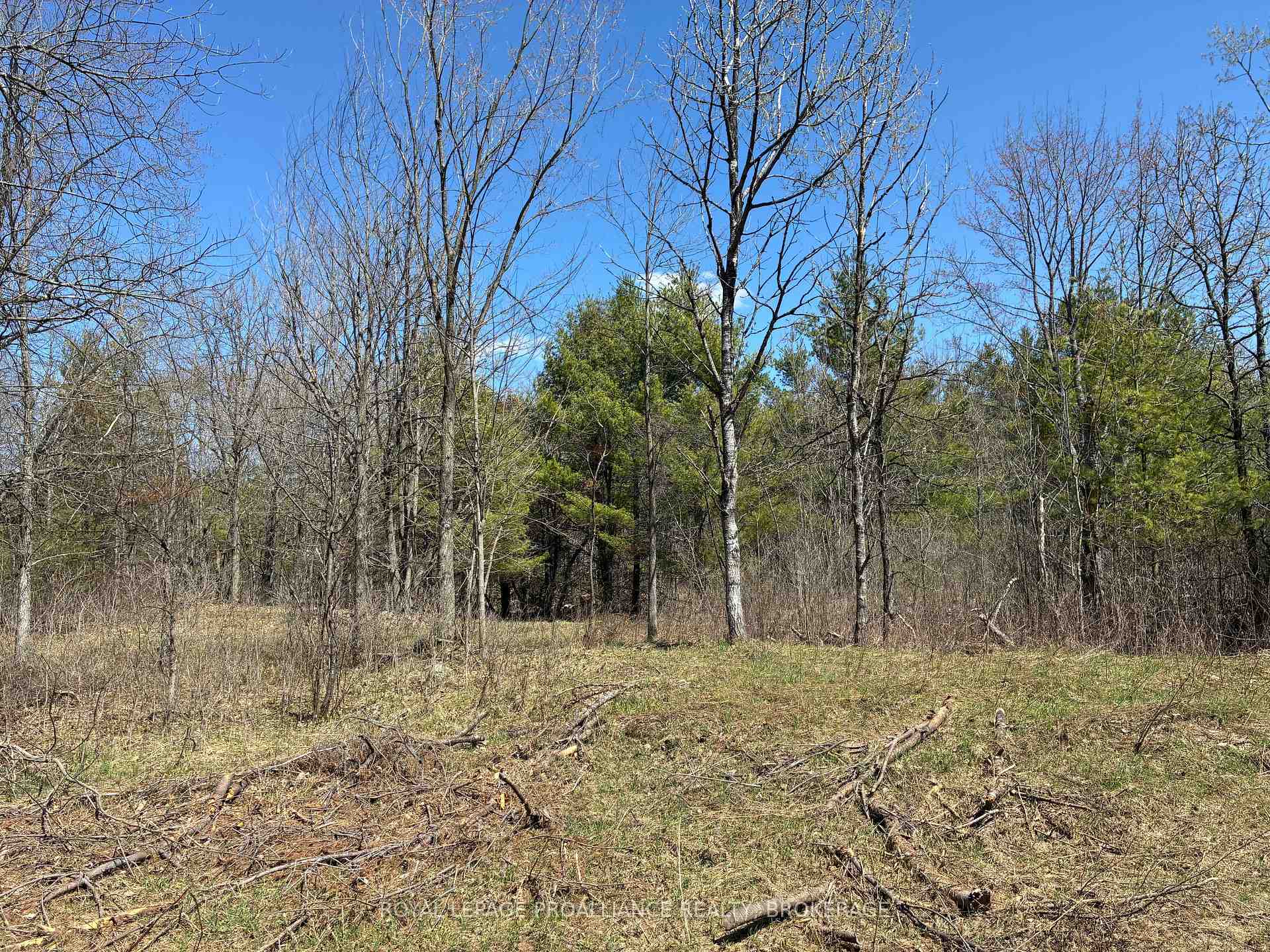 Front of Lot 4 Leveque Road