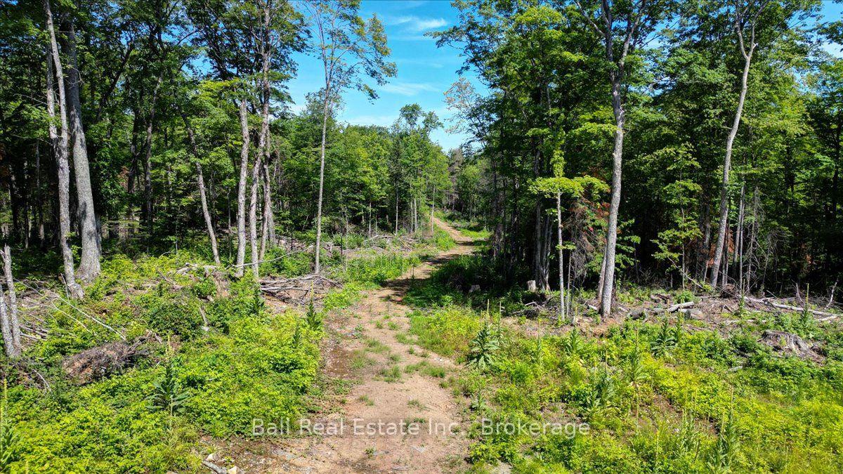 Photo 1 of 691 Bush Road, North Kawartha — HOMEH