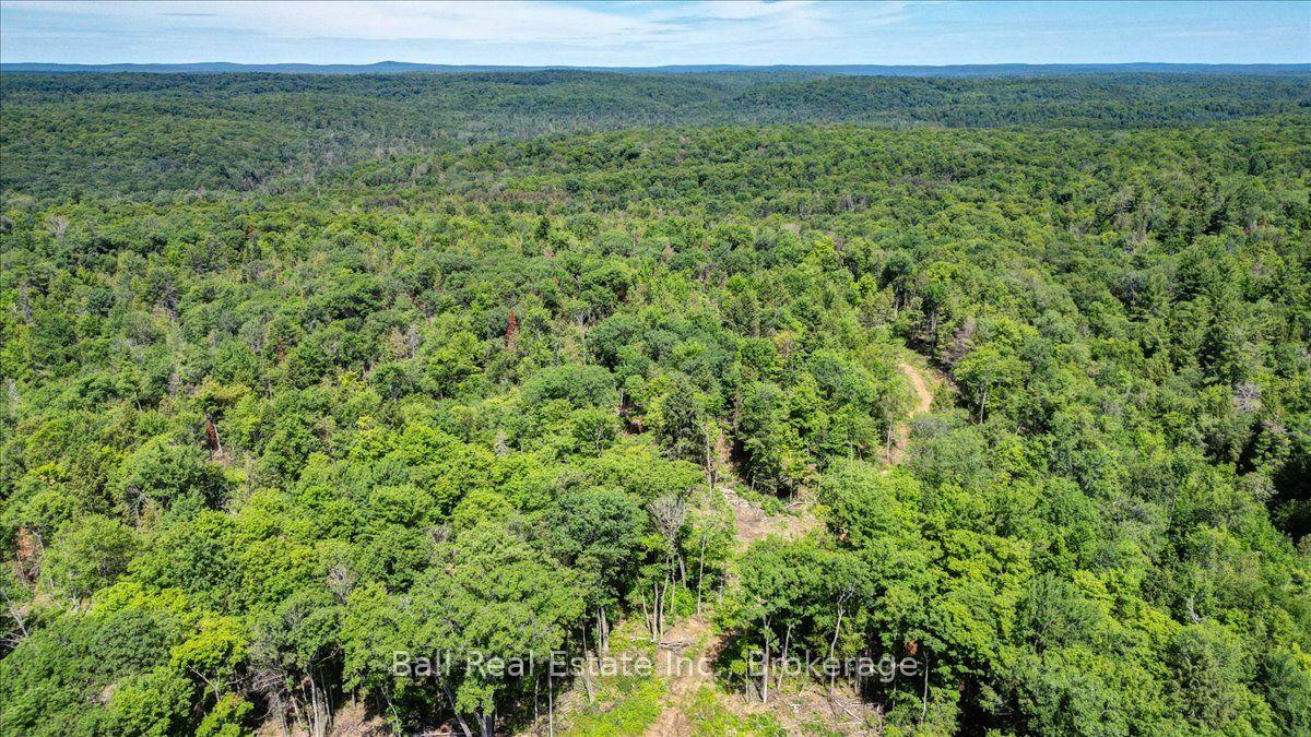 Photo 3 of 691 Bush Road, North Kawartha — HOMEH
