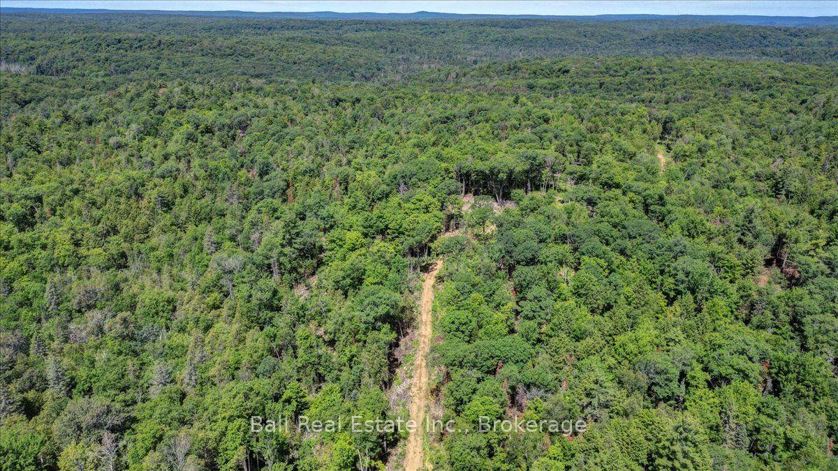 Photo 4 of 691 Bush Road, North Kawartha — HOMEH