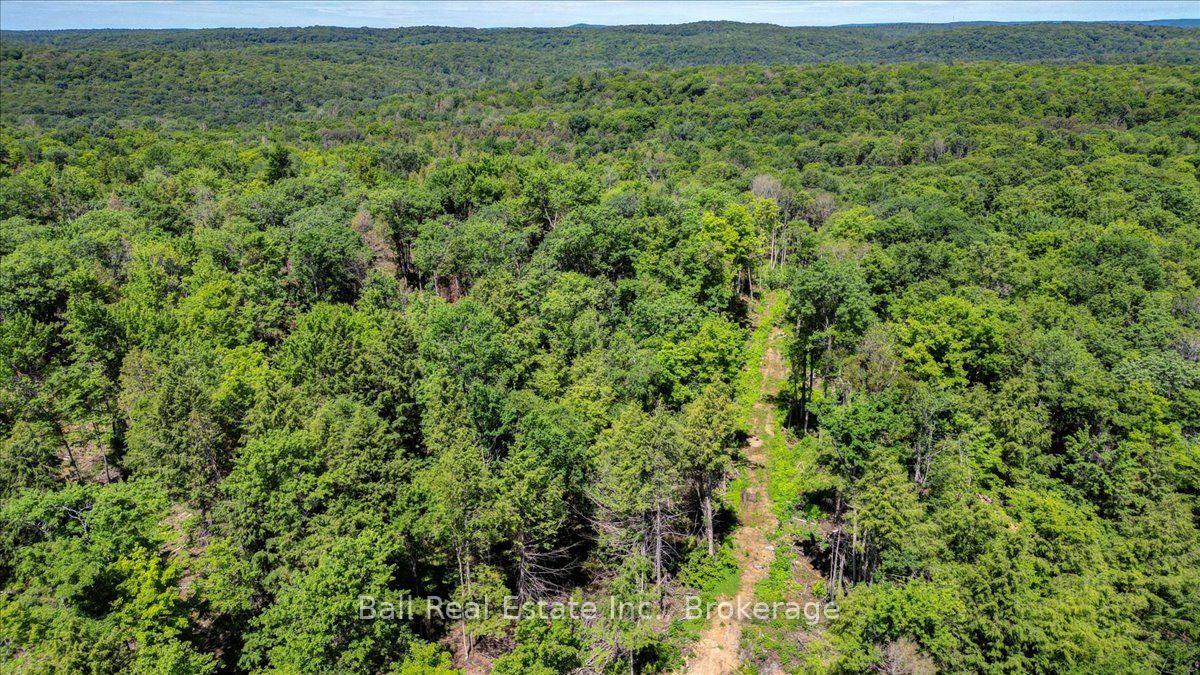 Photo 5 of 691 Bush Road, North Kawartha — HOMEH