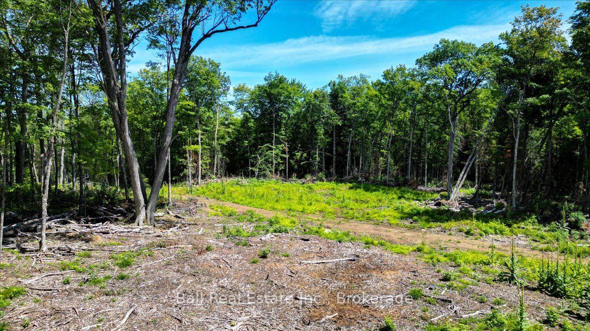Photo 6 of 691 Bush Road, North Kawartha — HOMEH