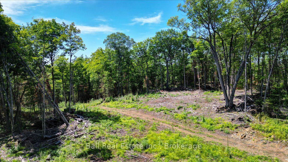 Photo 7 of 691 Bush Road, North Kawartha — HOMEH