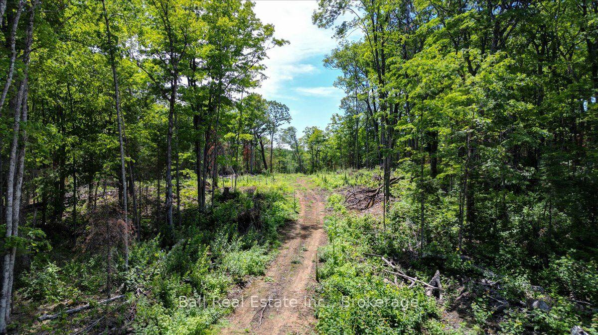 Photo 8 of 691 Bush Road, North Kawartha — HOMEH