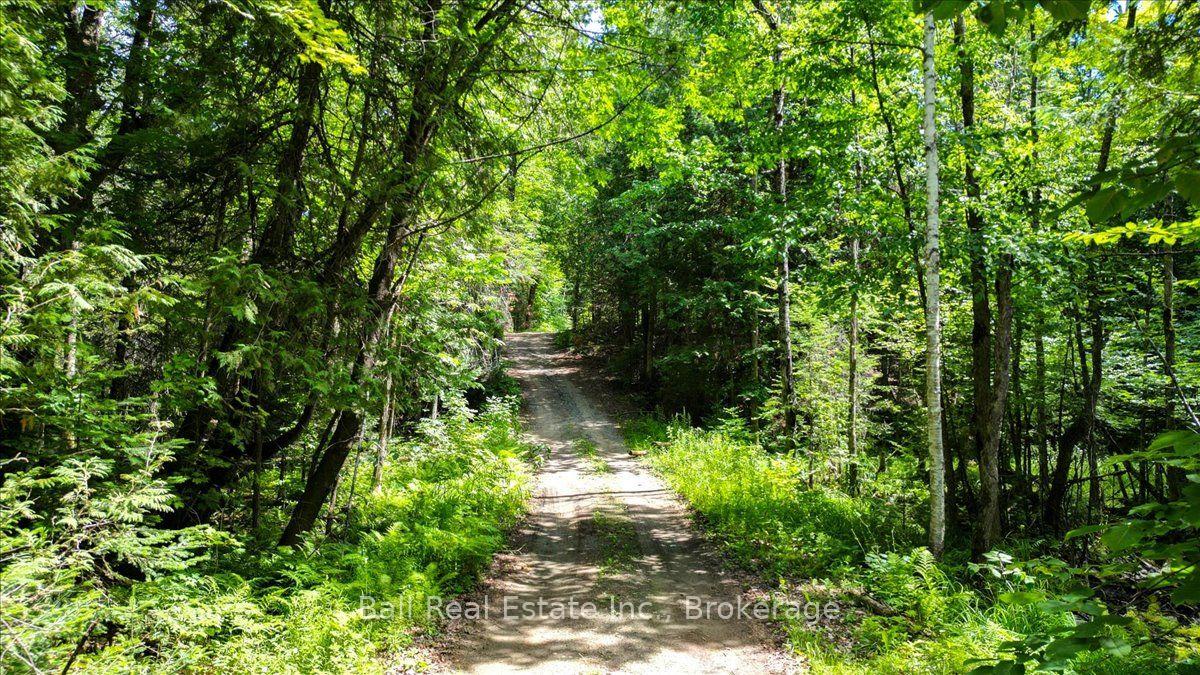 Photo 9 of 691 Bush Road, North Kawartha — HOMEH