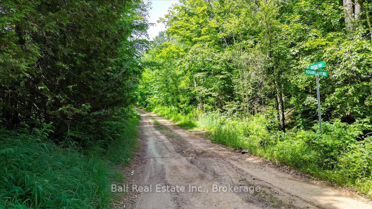 Photo 10 of 691 Bush Road, North Kawartha — HOMEH