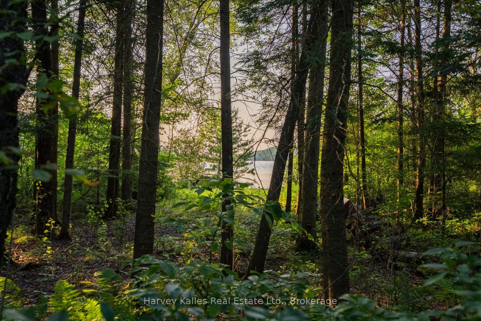 Photo 7 of 4154 & 4191 Ravenscliffe Road, Huntsville, Stisted — HOMEH