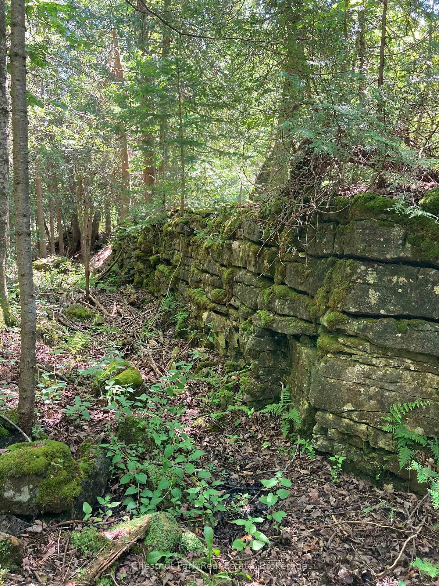 Photo 6 of 9420 Ewing Road, Clearview, Rural Clearview — HOMEH