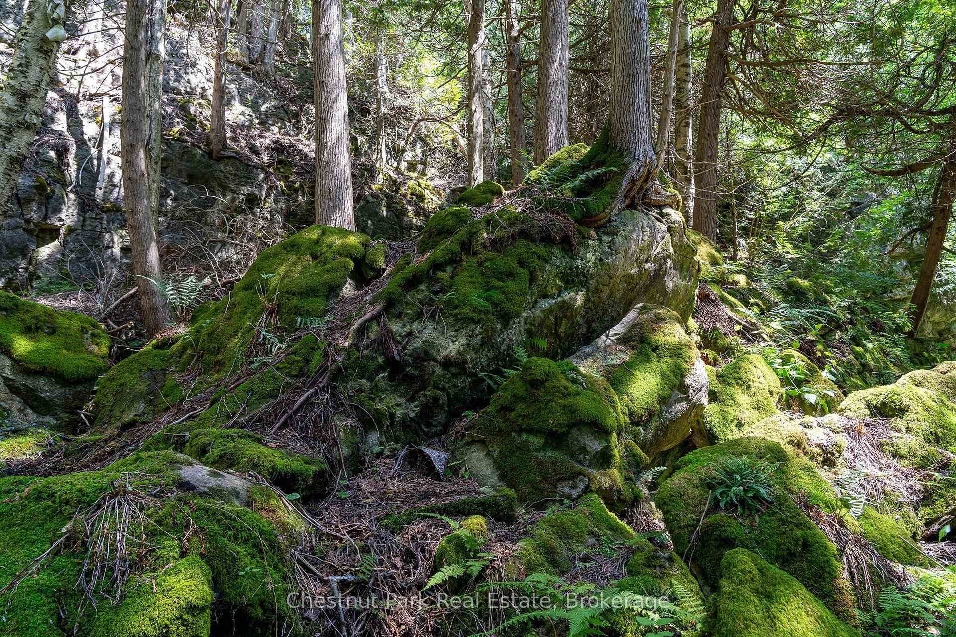 Photo 14 of 9420 Ewing Road, Clearview, Rural Clearview — HOMEH
