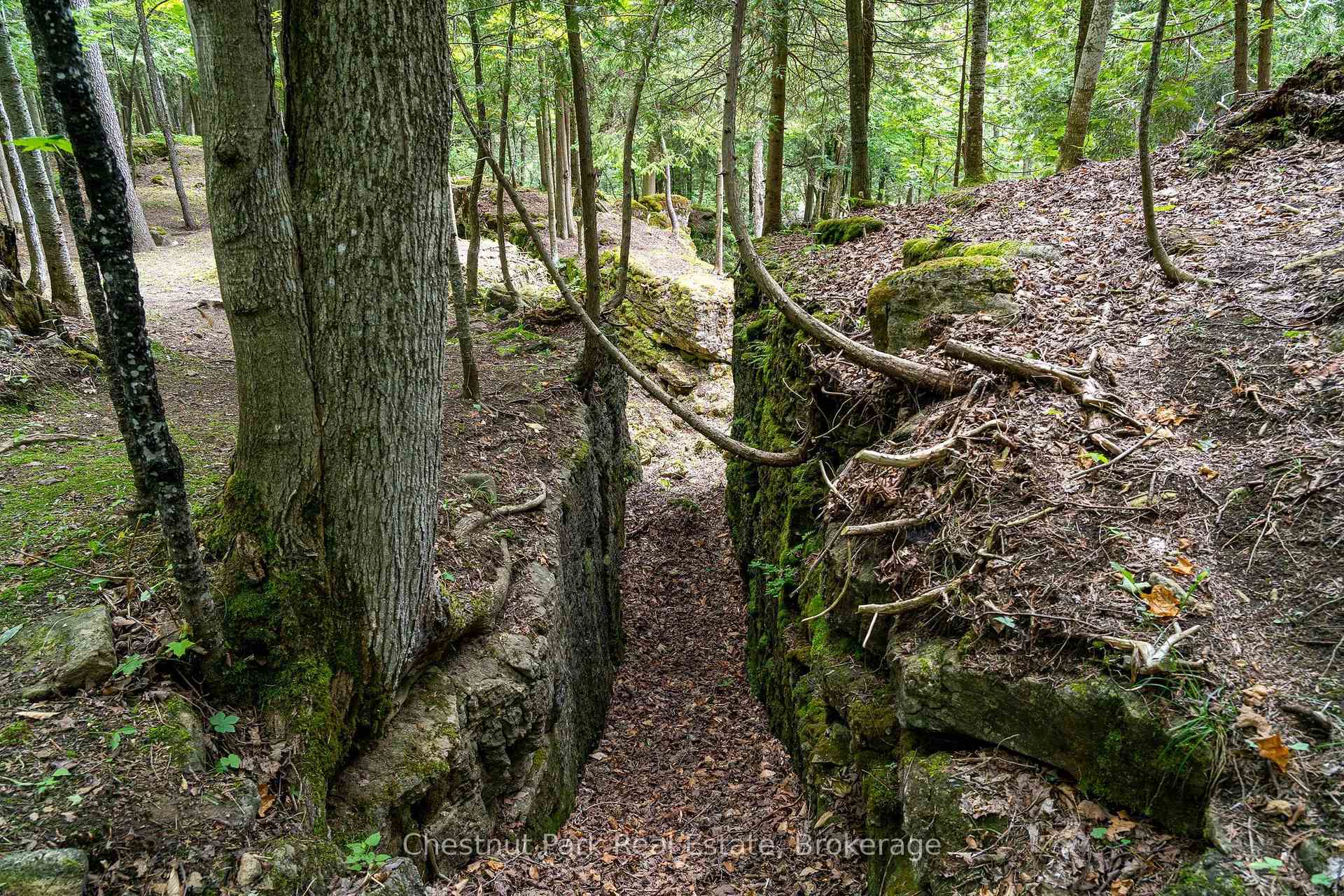 Photo 19 of 9420 Ewing Road, Clearview, Rural Clearview — HOMEH