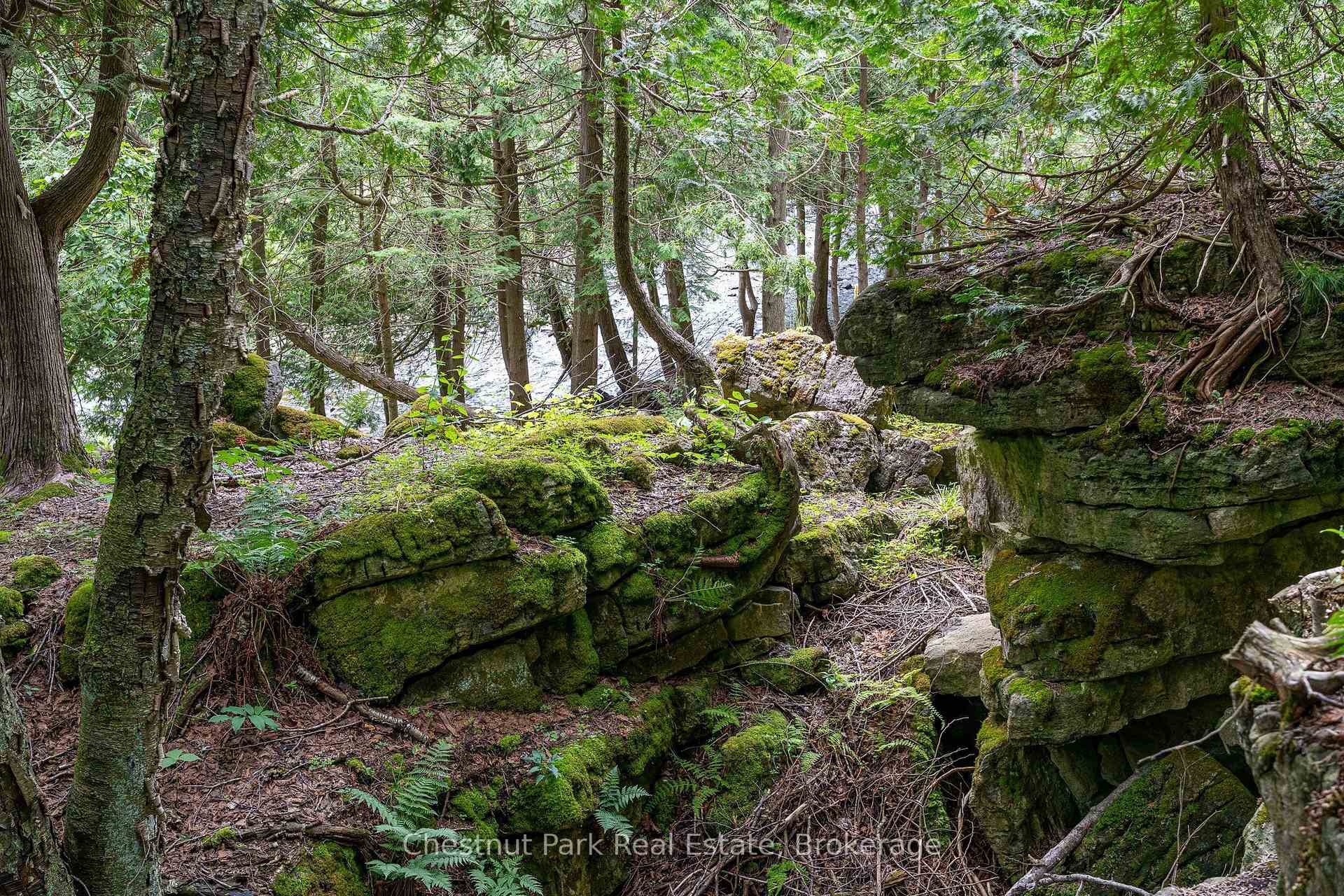 Photo 20 of 9420 Ewing Road, Clearview, Rural Clearview — HOMEH