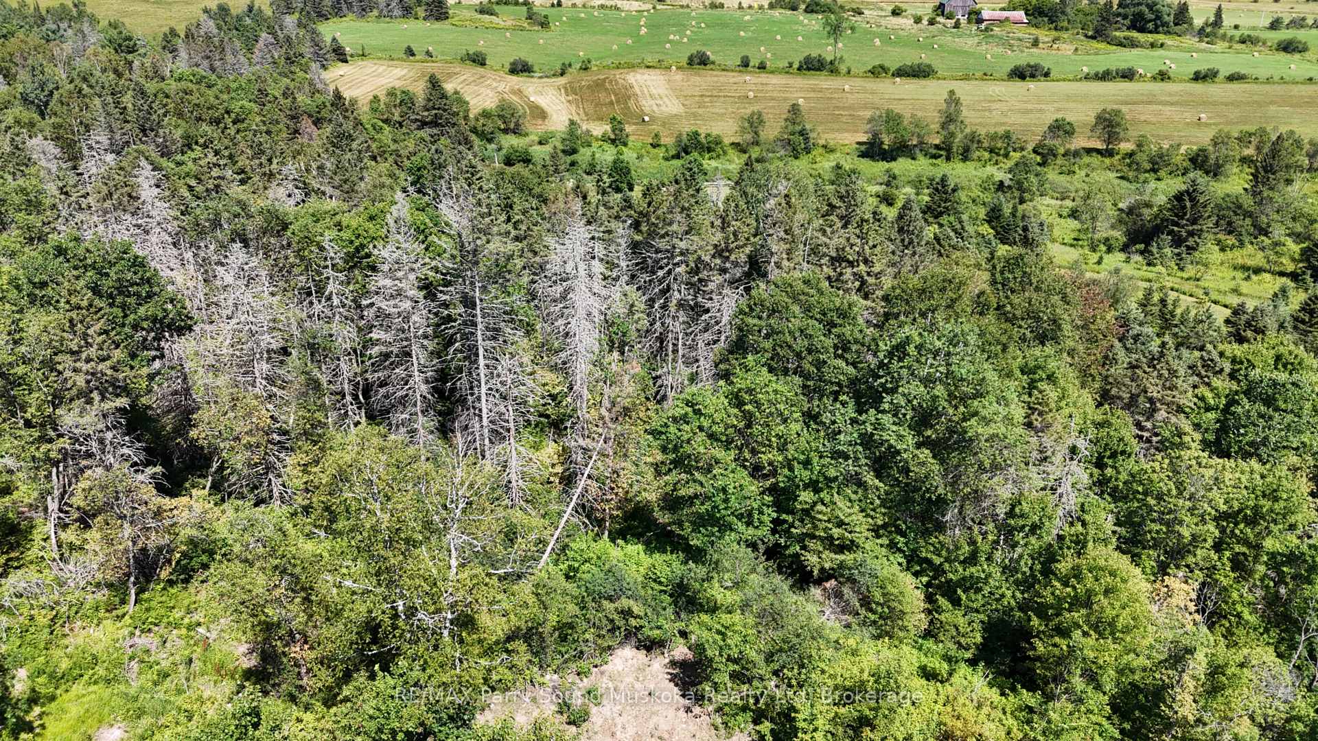 Photo 19 of 69 Miller Road, Magnetawan — HOMEH