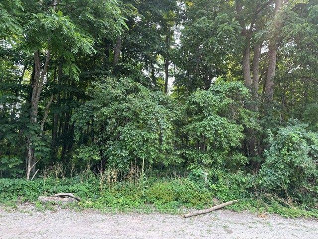 Photo 3 of 2728 25th Side Road, Innisfil, Rural Innisfil — HOMEH