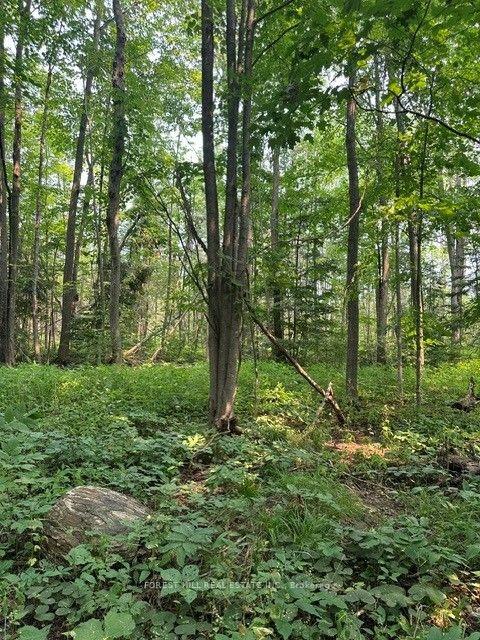 Photo 7 of 2728 25th Side Road, Innisfil, Rural Innisfil — HOMEH