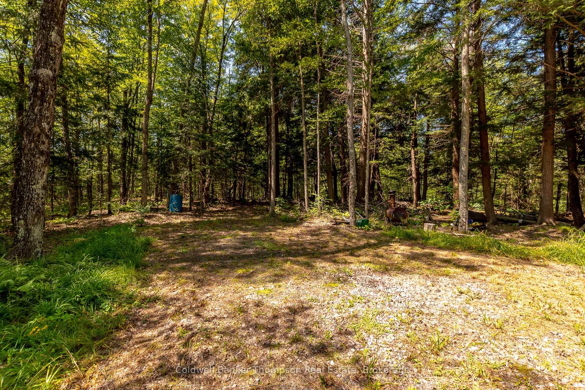 Photo 9 of 2771 Midlothian Road, Ryerson — HOMEH