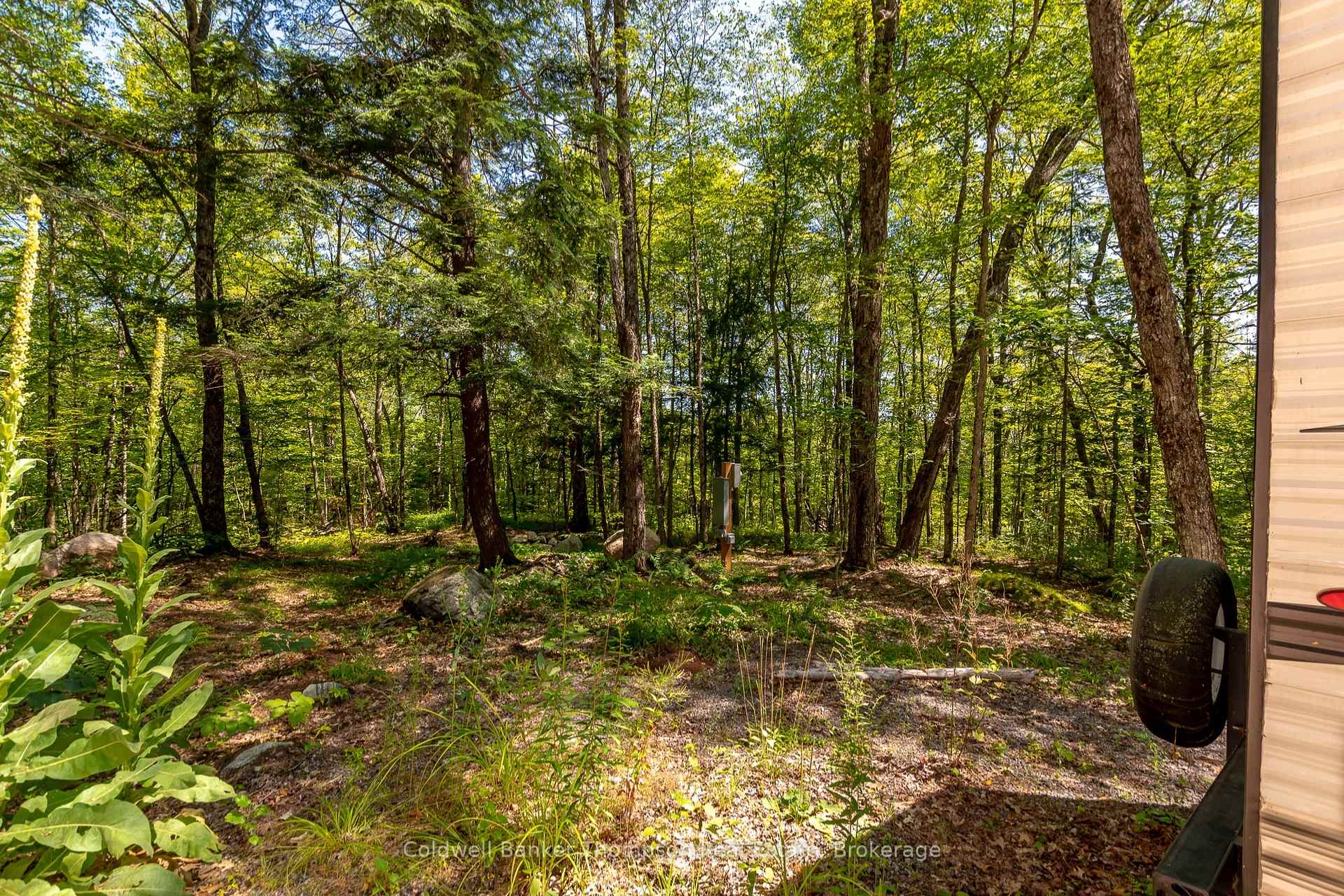 Photo 17 of 2771 Midlothian Road, Ryerson — HOMEH
