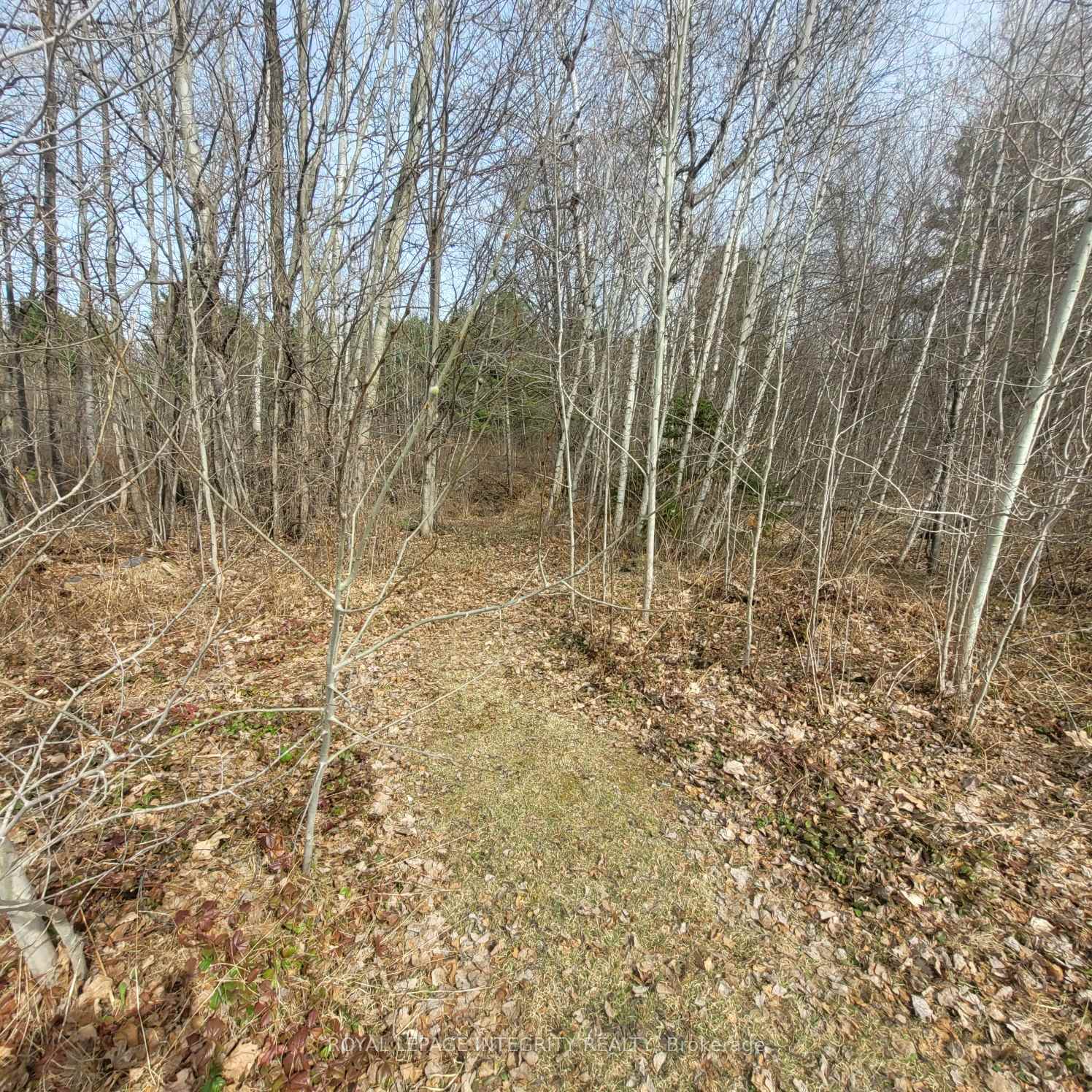 Photo 29 of 53 Beaver Lane, The Nation, The Nation Municipality — HOMEH