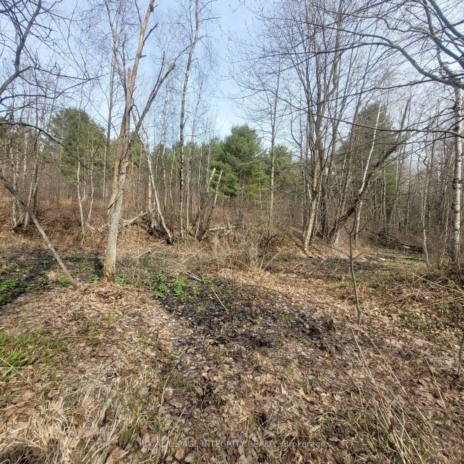Photo 30 of 53 Beaver Lane, The Nation, The Nation Municipality — HOMEH