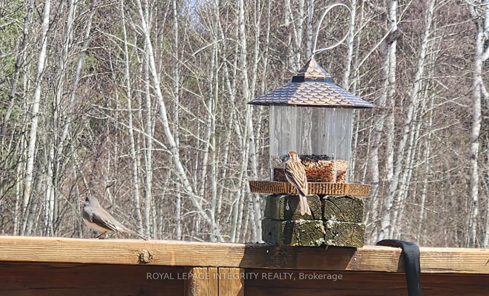 Photo 32 of 53 Beaver Lane, The Nation, The Nation Municipality — HOMEH