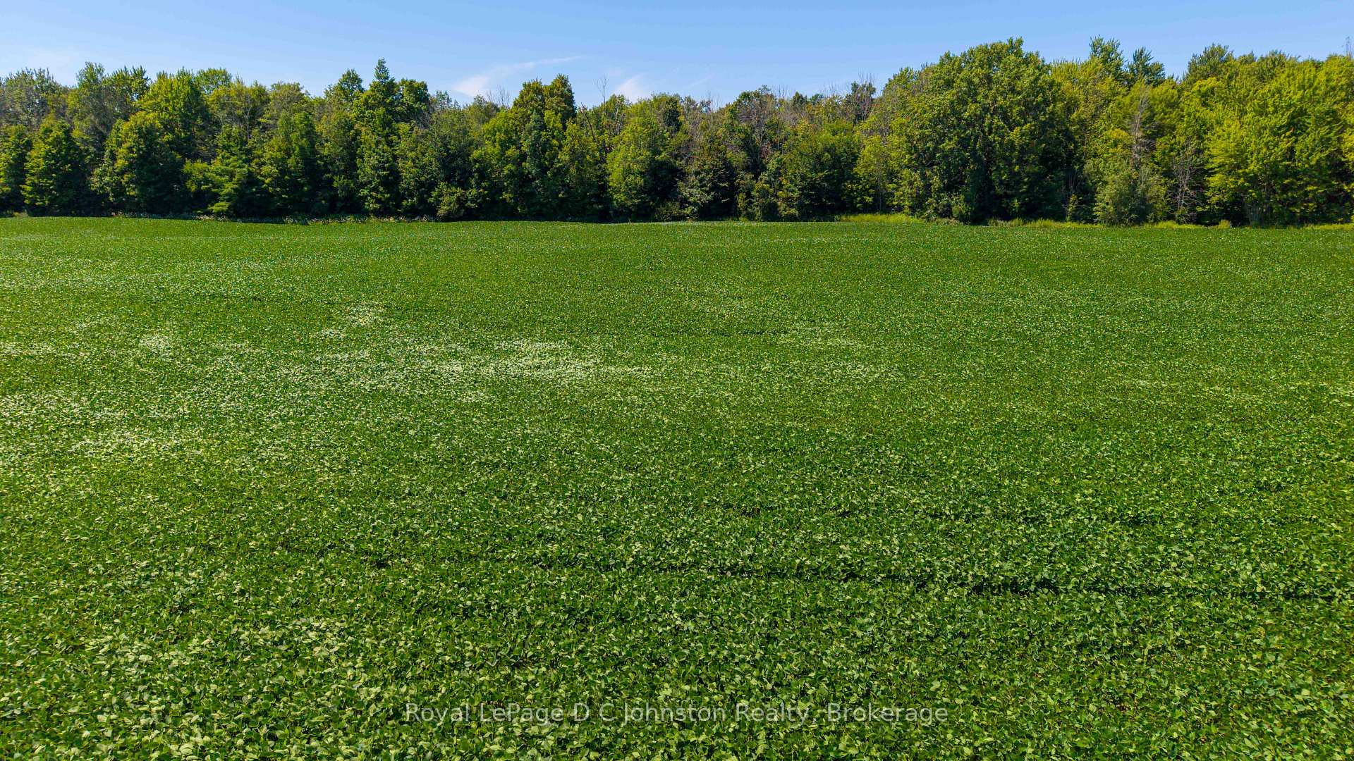 Photo 6 of 305 Sideroad 25, Kincardine — HOMEH