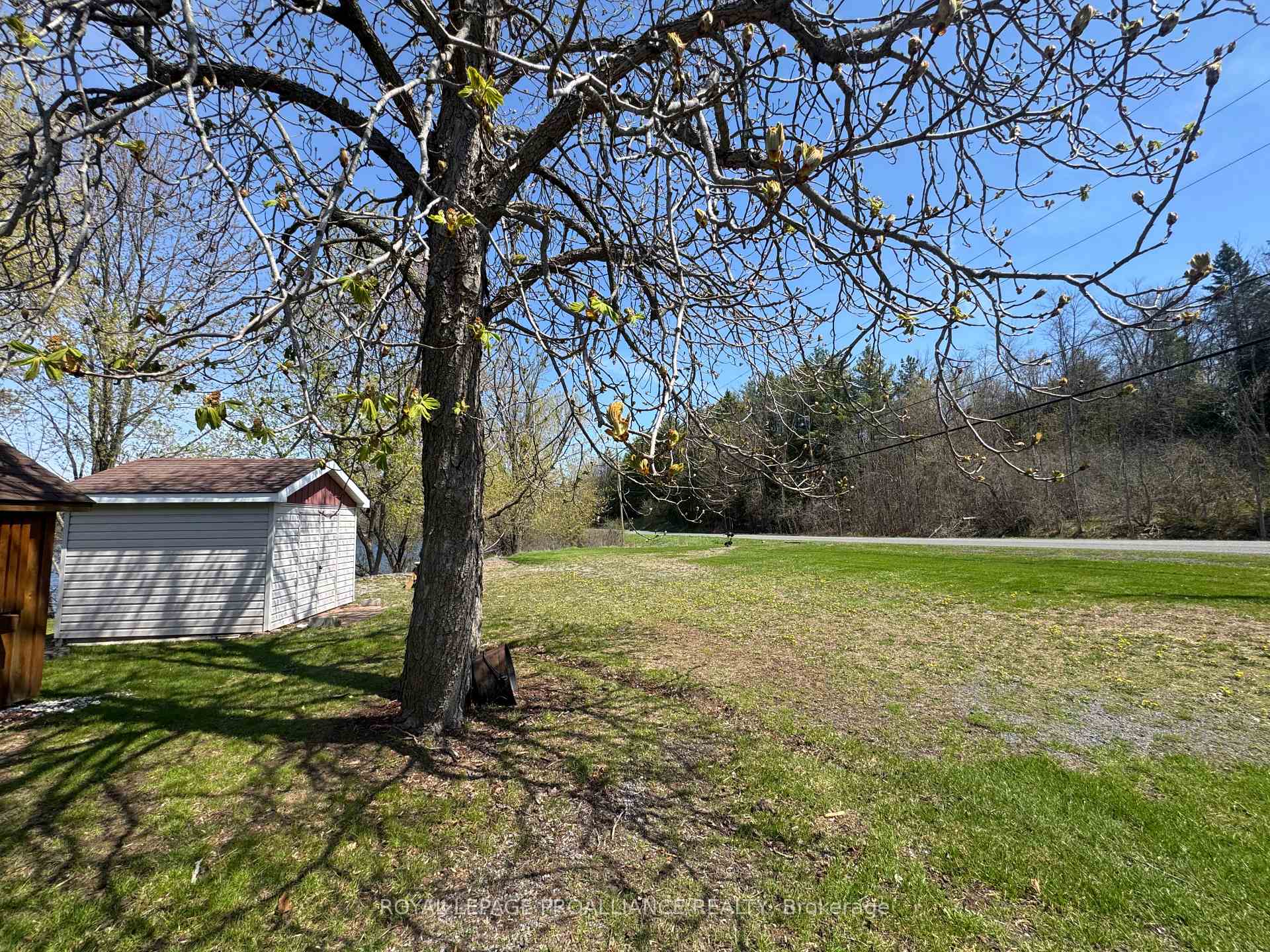 Photo 7 of 81 Scuttlehole Road, Belleville, Thurlow Ward — HOMEH