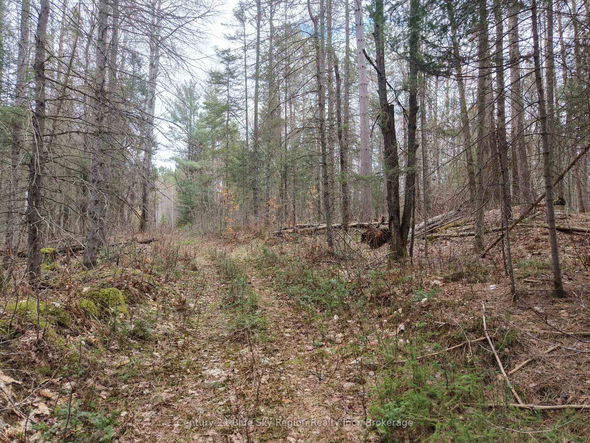 Photo 5 of Lot 2, 3, 4, 5, Con 4 Old Nipissing Road, Nipissing, Commanda — HOMEH