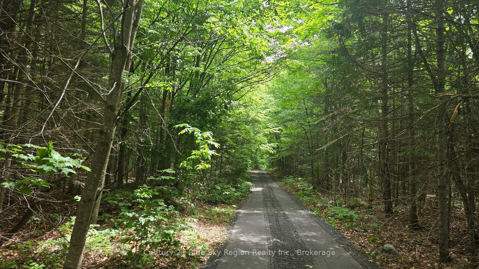 Photo 26 of Lot 2, 3, 4, 5, Con 4 Old Nipissing Road, Nipissing, Commanda — HOMEH