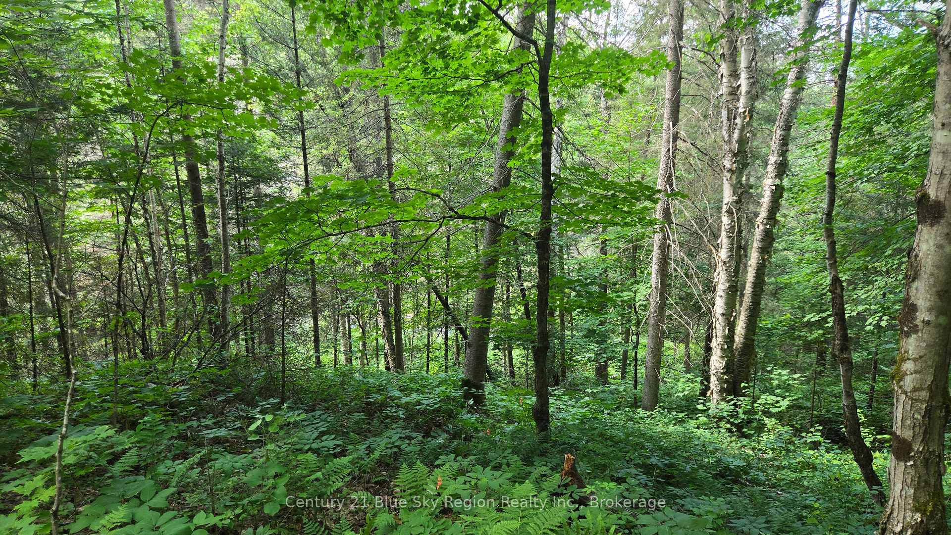 Photo 27 of Lot 2, 3, 4, 5, Con 4 Old Nipissing Road, Nipissing, Commanda — HOMEH