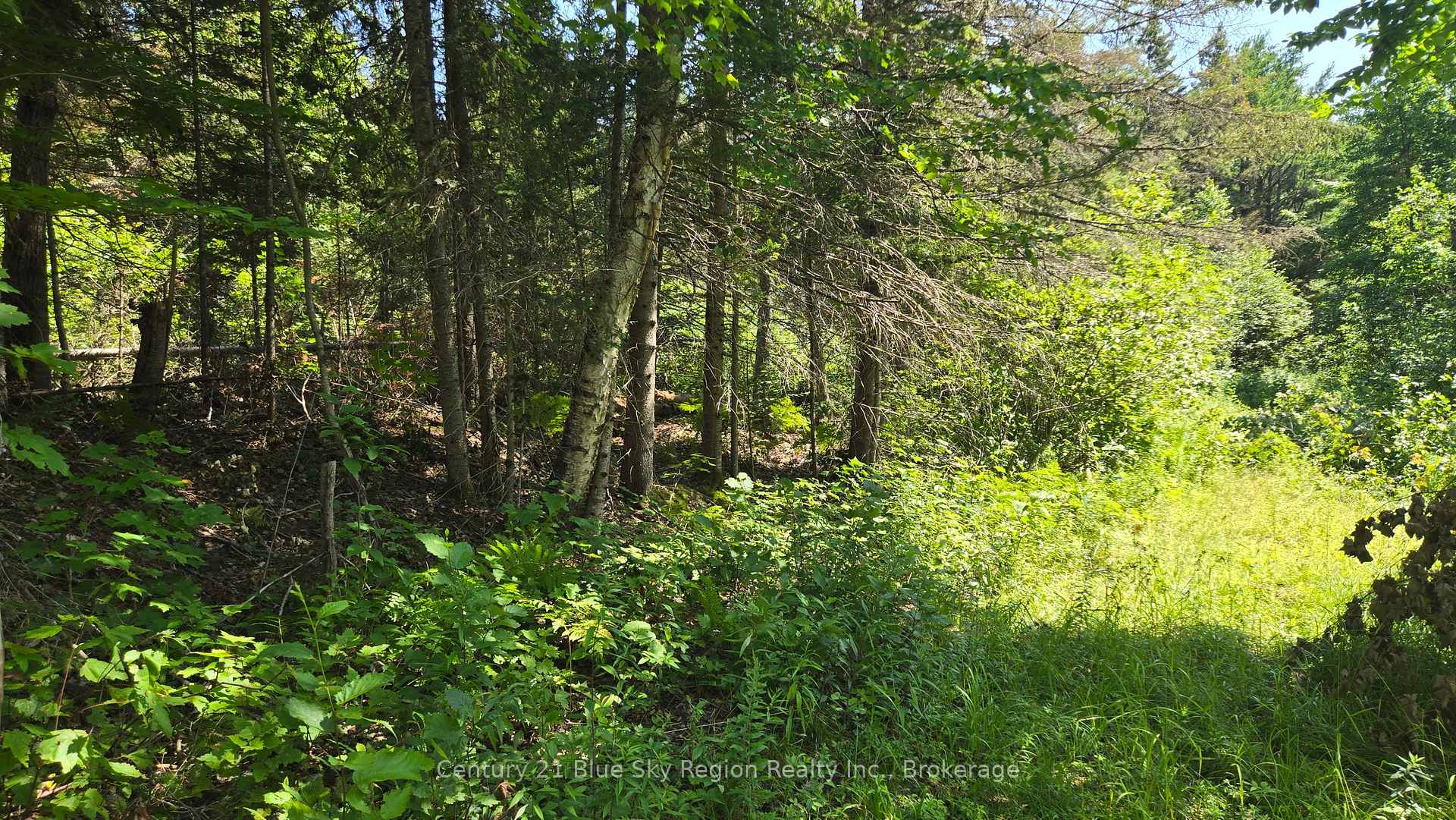 Photo 29 of Lot 2, 3, 4, 5, Con 4 Old Nipissing Road, Nipissing, Commanda — HOMEH