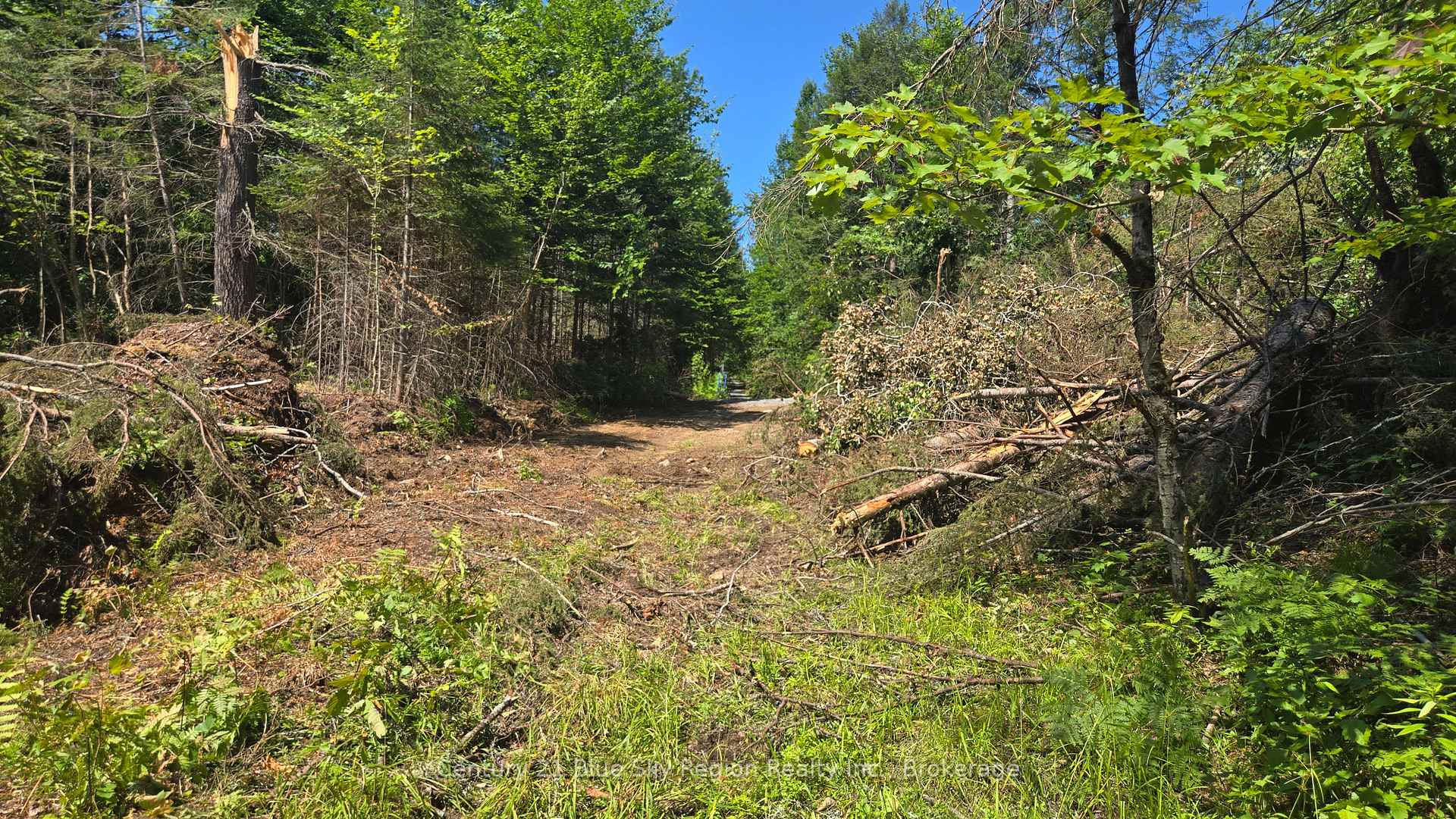 Photo 30 of Lot 2, 3, 4, 5, Con 4 Old Nipissing Road, Nipissing, Commanda — HOMEH