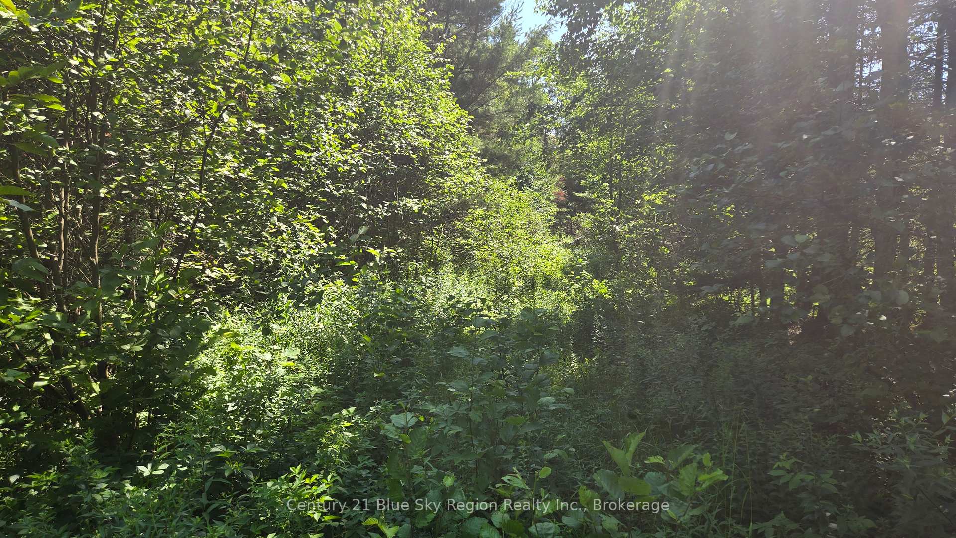 Photo 31 of Lot 2, 3, 4, 5, Con 4 Old Nipissing Road, Nipissing, Commanda — HOMEH