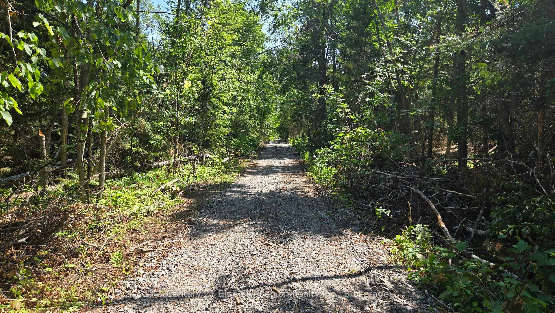 Photo 33 of Lot 2, 3, 4, 5, Con 4 Old Nipissing Road, Nipissing, Commanda — HOMEH