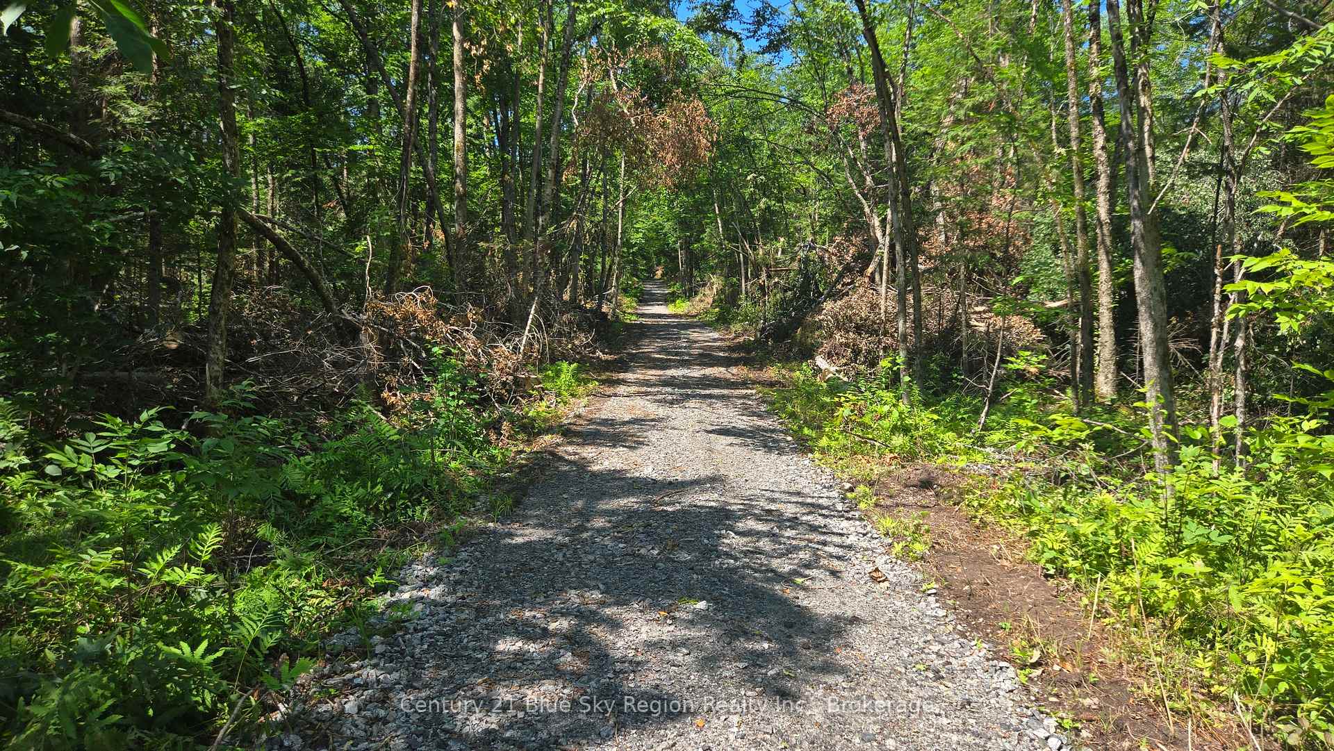 Photo 34 of Lot 2, 3, 4, 5, Con 4 Old Nipissing Road, Nipissing, Commanda — HOMEH