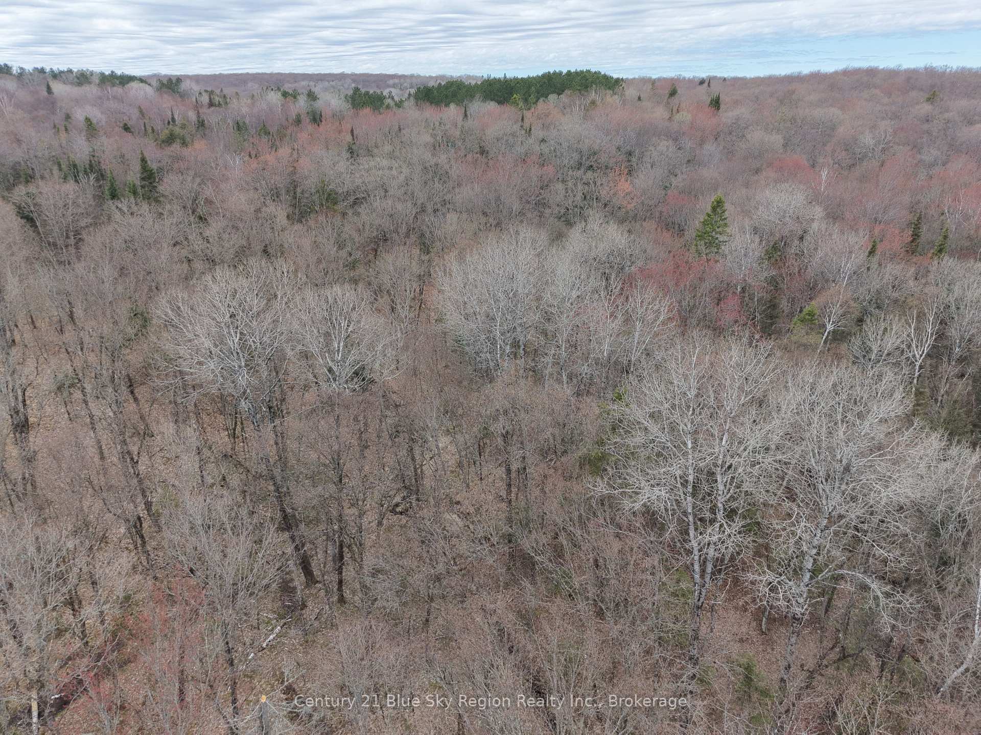 Photo 36 of Lot 2, 3, 4, 5, Con 4 Old Nipissing Road, Nipissing, Commanda — HOMEH