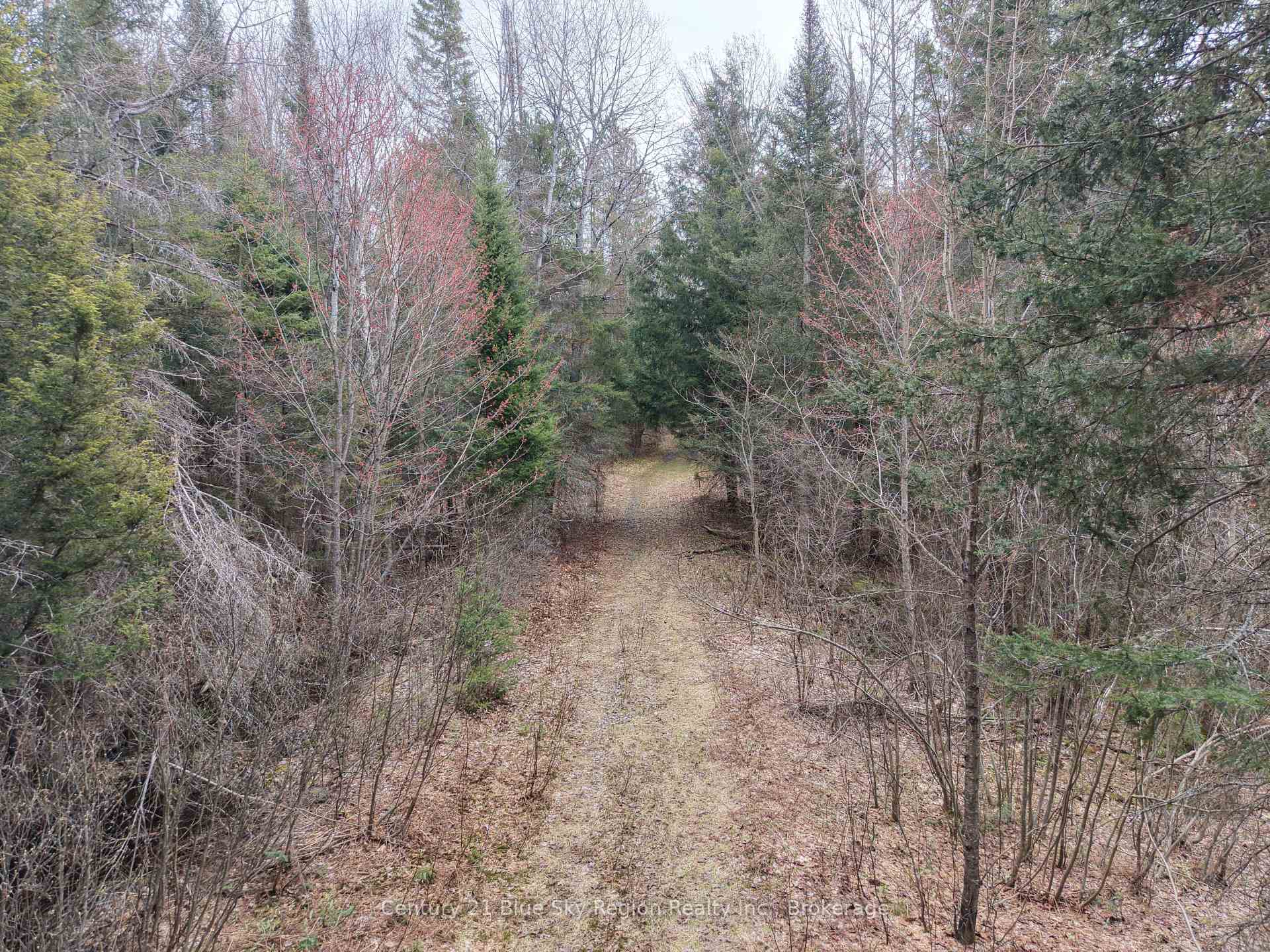 Photo 42 of Lot 2, 3, 4, 5, Con 4 Old Nipissing Road, Nipissing, Commanda — HOMEH