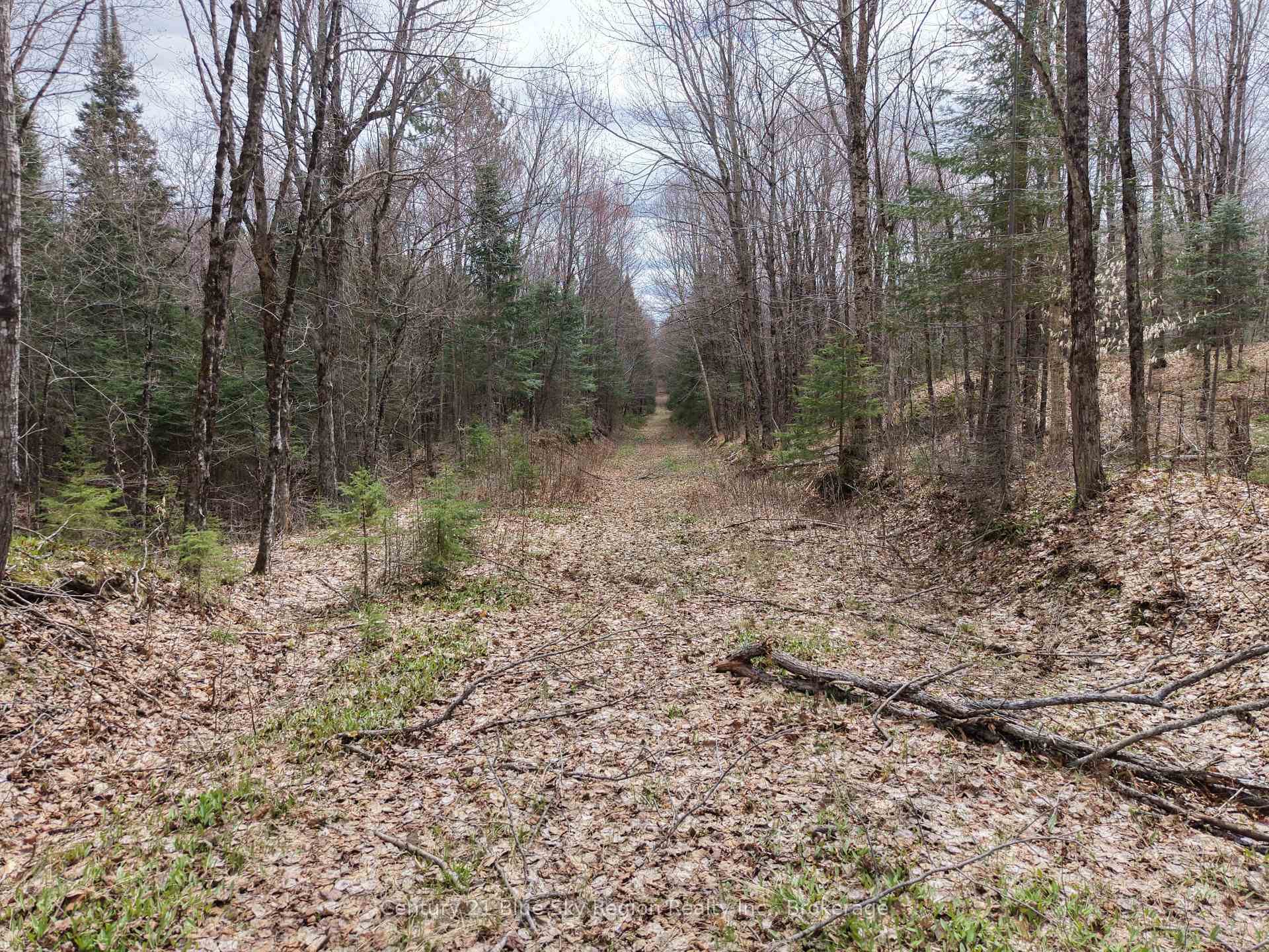 Photo 43 of Lot 2, 3, 4, 5, Con 4 Old Nipissing Road, Nipissing, Commanda — HOMEH