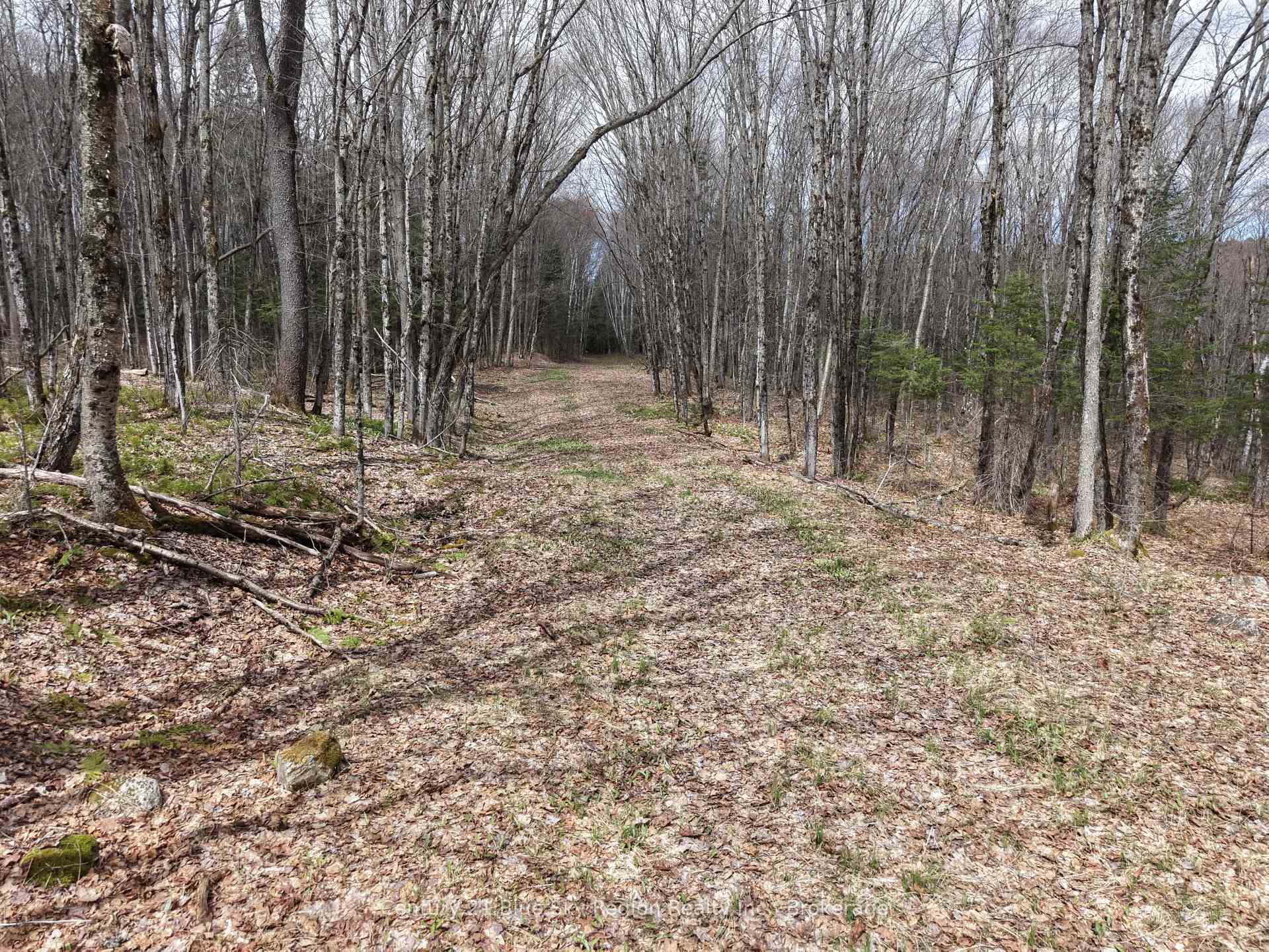 Photo 44 of Lot 2, 3, 4, 5, Con 4 Old Nipissing Road, Nipissing, Commanda — HOMEH