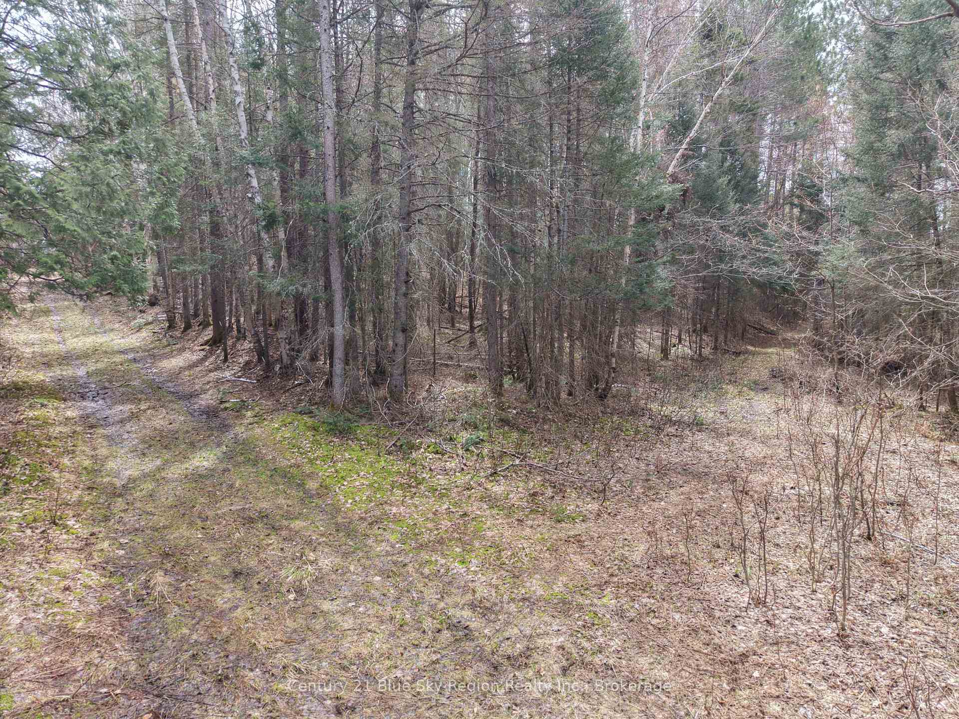 Photo 45 of Lot 2, 3, 4, 5, Con 4 Old Nipissing Road, Nipissing, Commanda — HOMEH