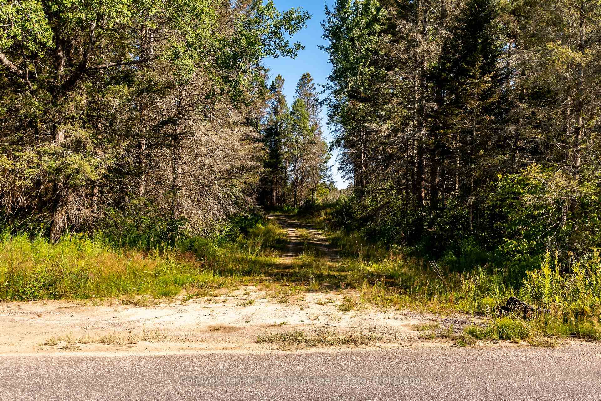 Photo 3 of 254 Pickerel Lake Road, Armour — HOMEH