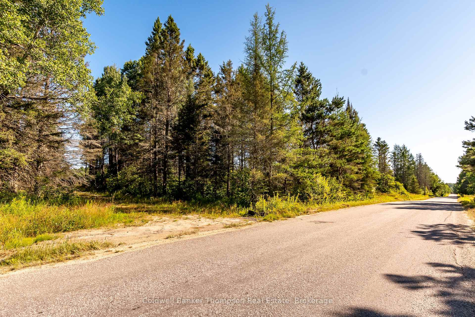 Photo 4 of 254 Pickerel Lake Road, Armour — HOMEH