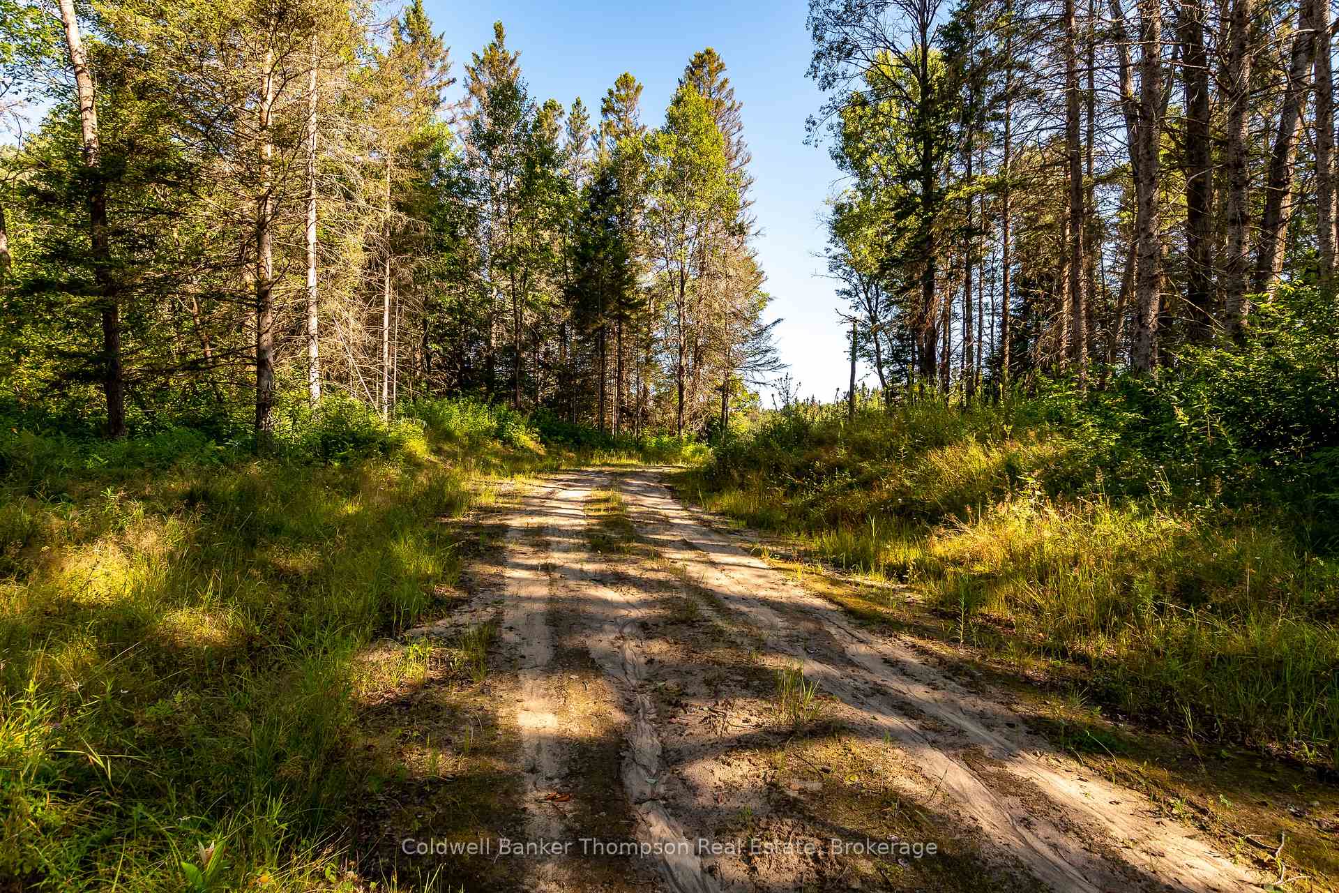 Photo 6 of 254 Pickerel Lake Road, Armour — HOMEH