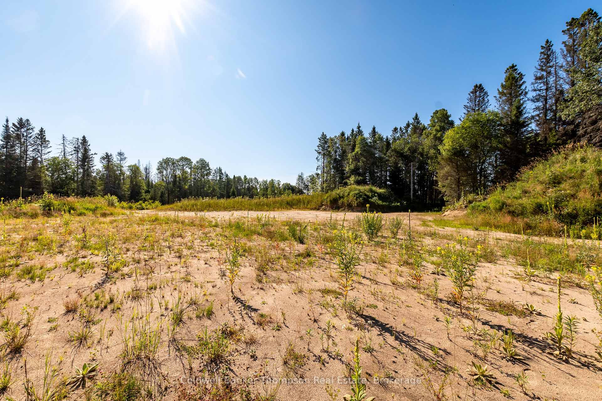 Photo 9 of 254 Pickerel Lake Road, Armour — HOMEH