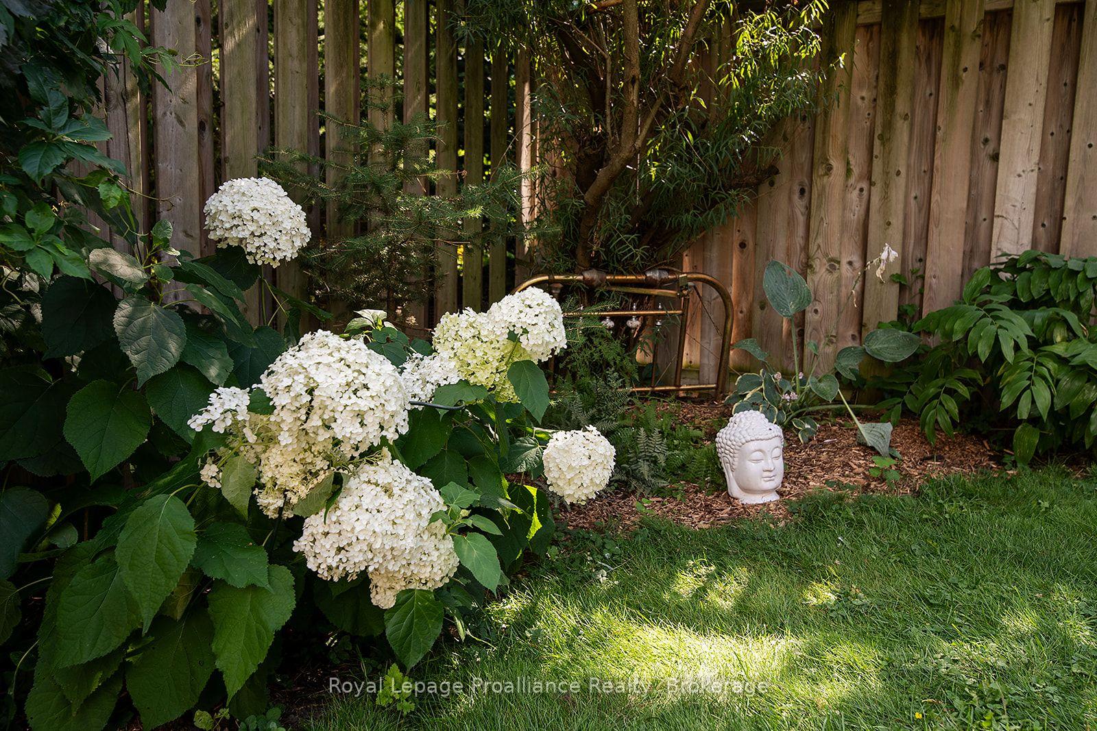 Photo 11 of 31 Hawthorn Street, Belleville, Belleville Ward — HOMEH