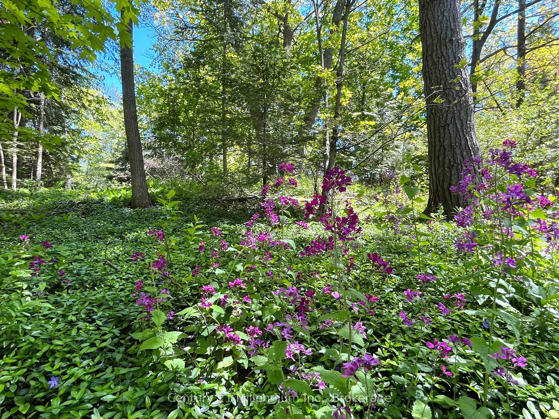 Photo 37 of 58 Cedarlane Drive, Wasaga Beach — HOMEH