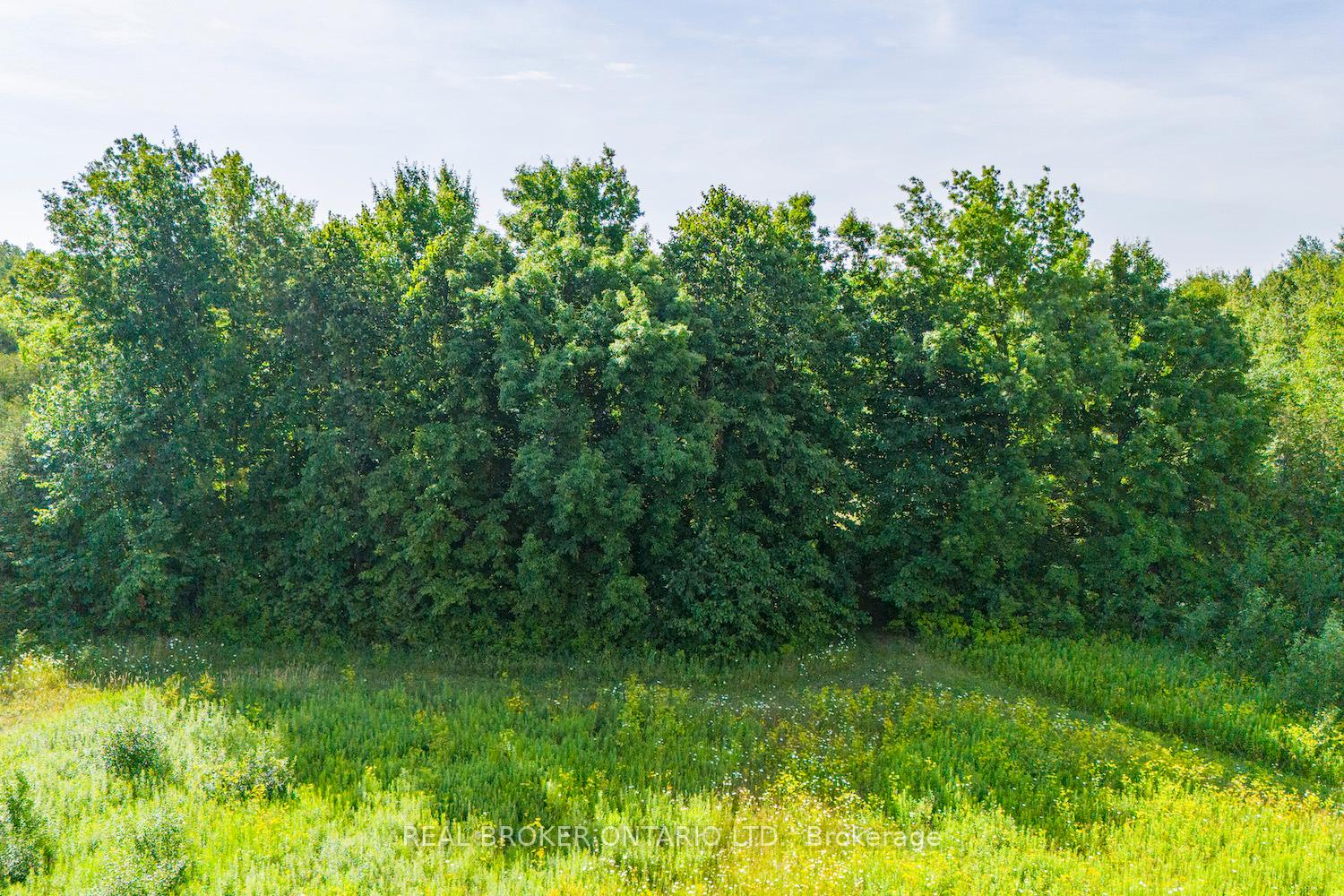 Photo 12 of Lot 3 Kyle Road, Augusta, Augusta Twp — HOMEH