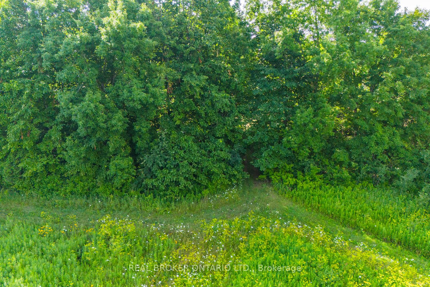 Photo 13 of Lot 3 Kyle Road, Augusta, Augusta Twp — HOMEH