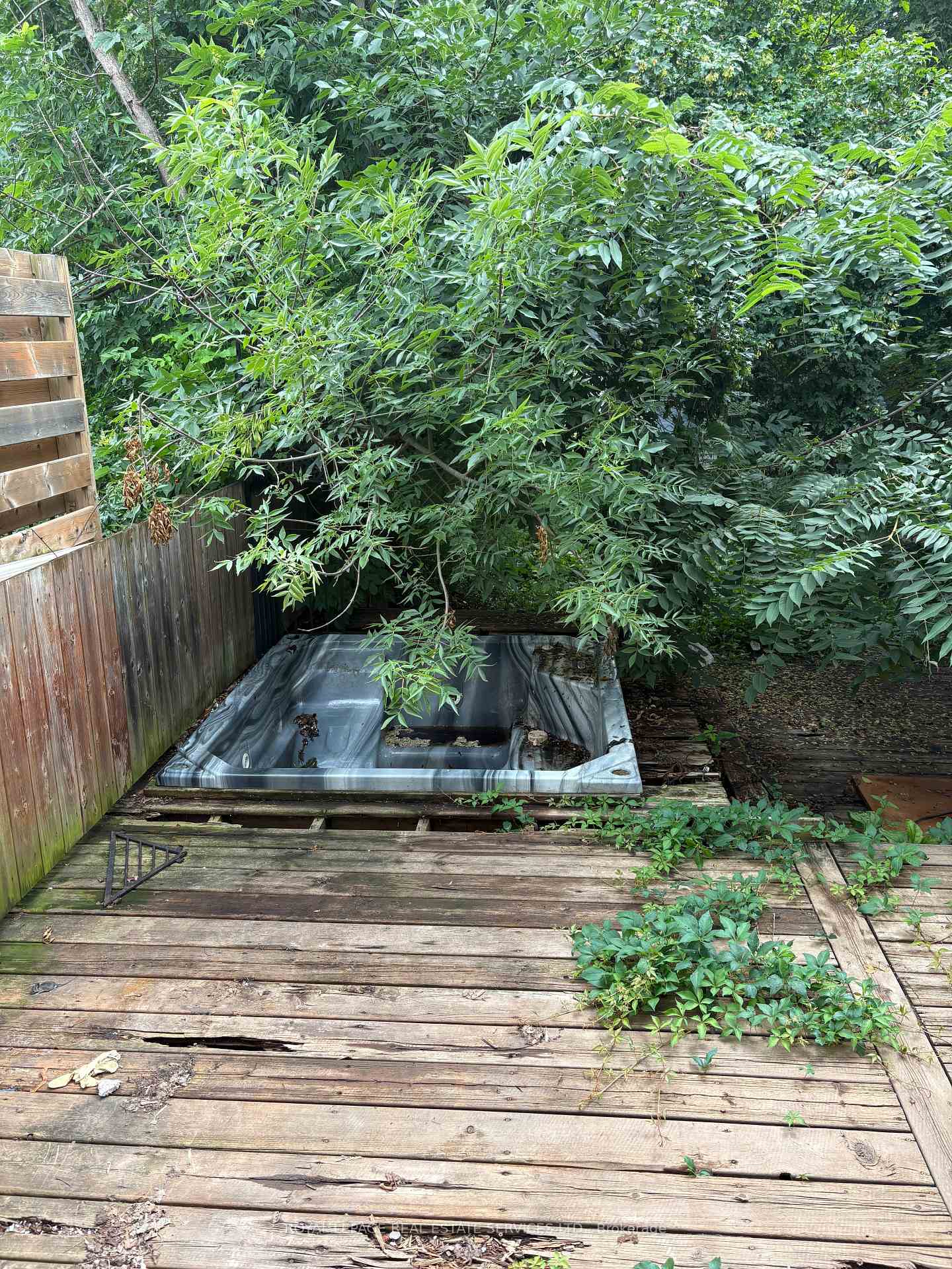 Photo 6 of 38 Parkside Drive, Brant, Paris — HOMEH