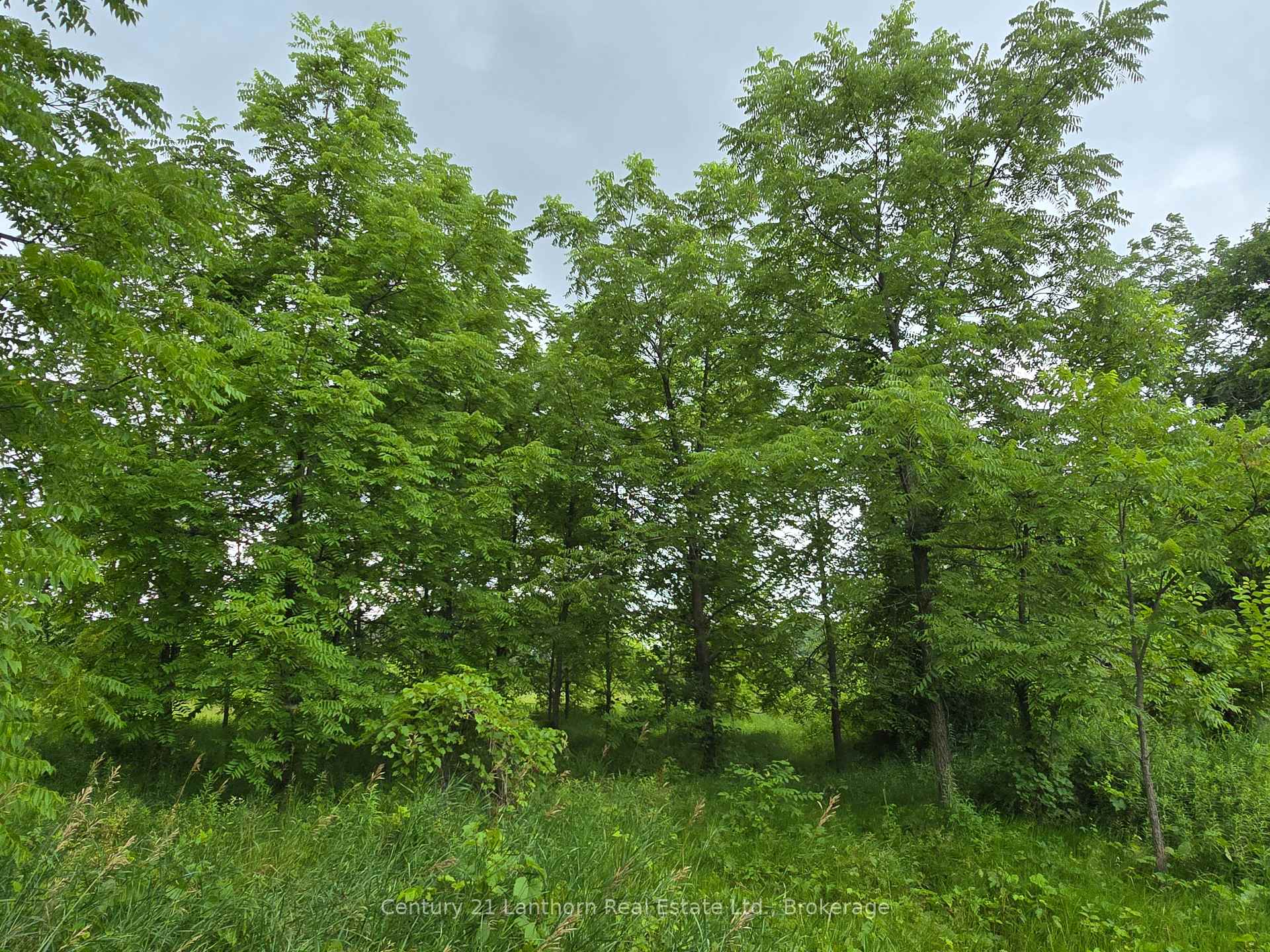 Photo 37 of 448 Harrington Road, Quinte West, Sidney Ward — HOMEH