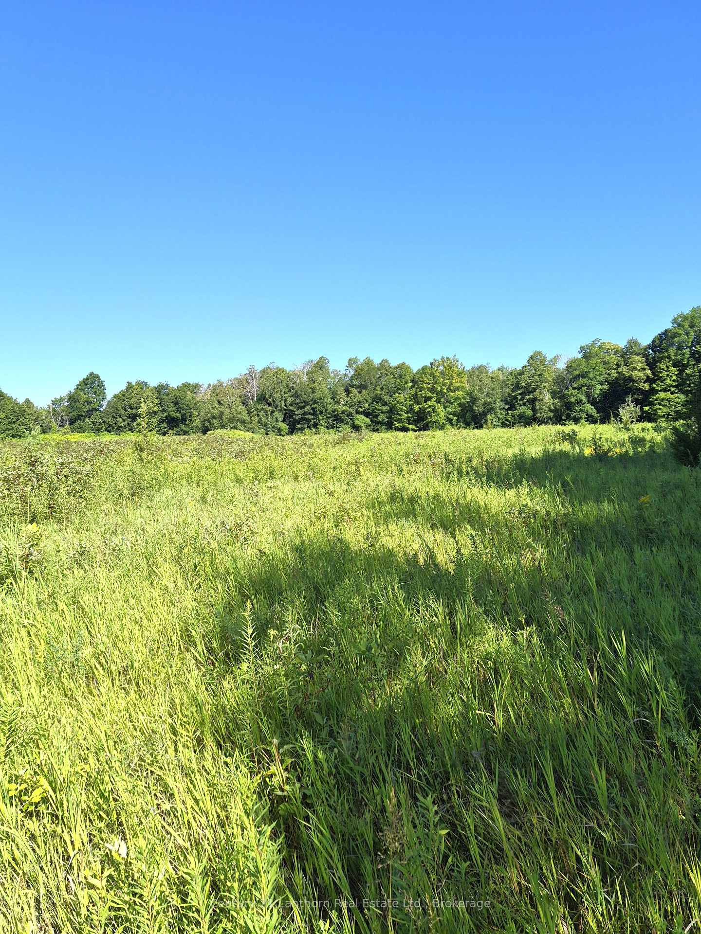 Photo 38 of 448 Harrington Road, Quinte West, Sidney Ward — HOMEH